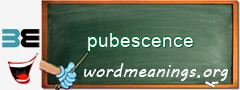 WordMeaning blackboard for pubescence